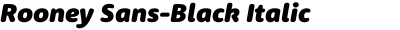 Rooney Sans-Black Italic